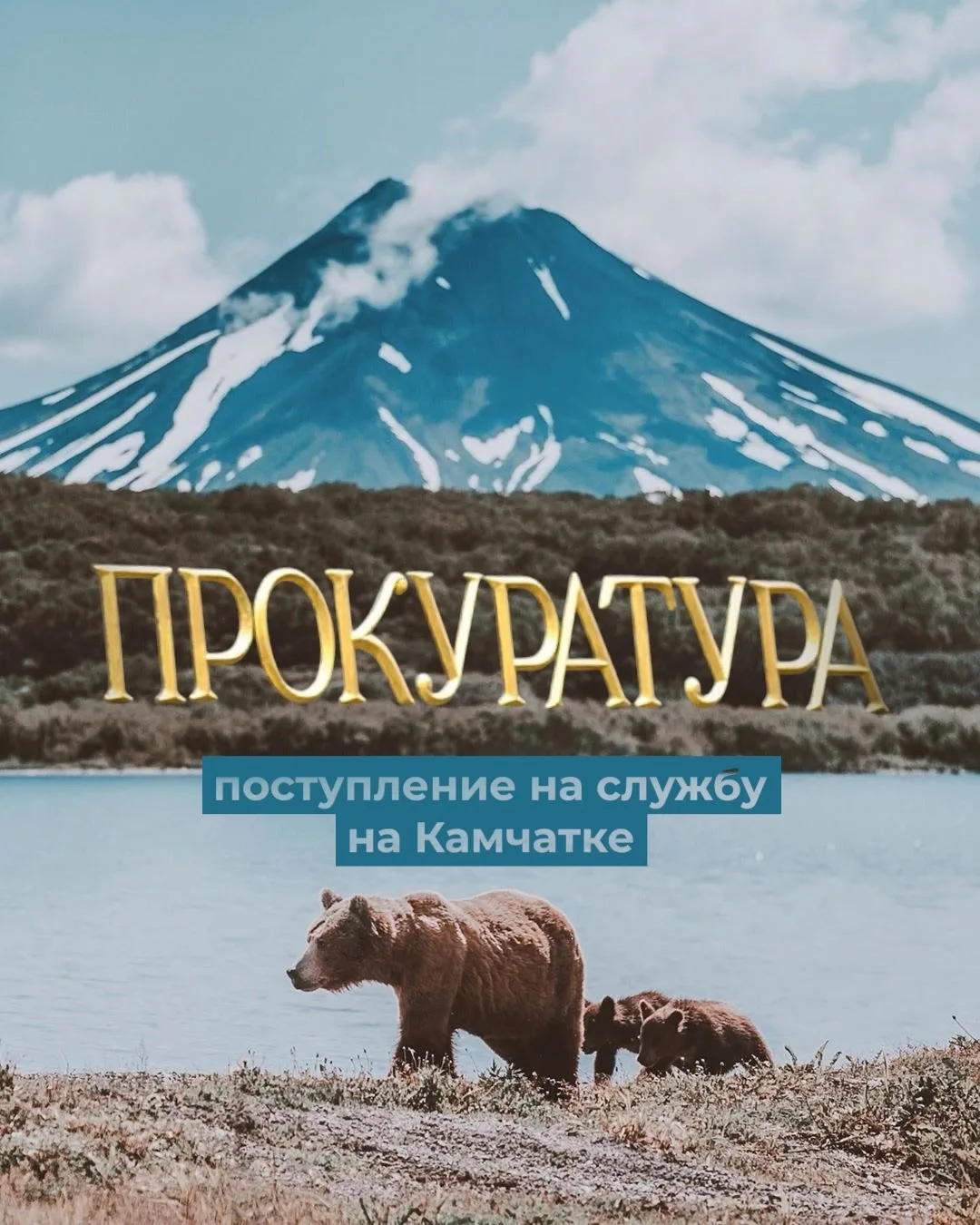 Карьера в прокуратуре: возможность для лучших выпускников-юристов